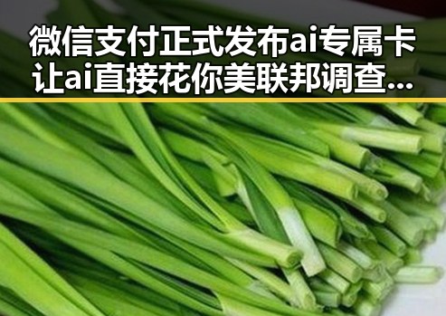 微信支付正式发布ai专属卡让ai直接花你美联邦调查局挫败白宫格斗赛袭击图谋