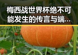 梅西战世界杯绝不可能发生的传言与端午出行做好个人防护的重要提醒
